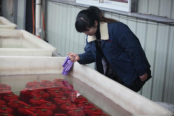 F&aacute;cil de utilizar rojo aprobado del CE del extintor del ABC 6kg de SAFEWAY DC01 10